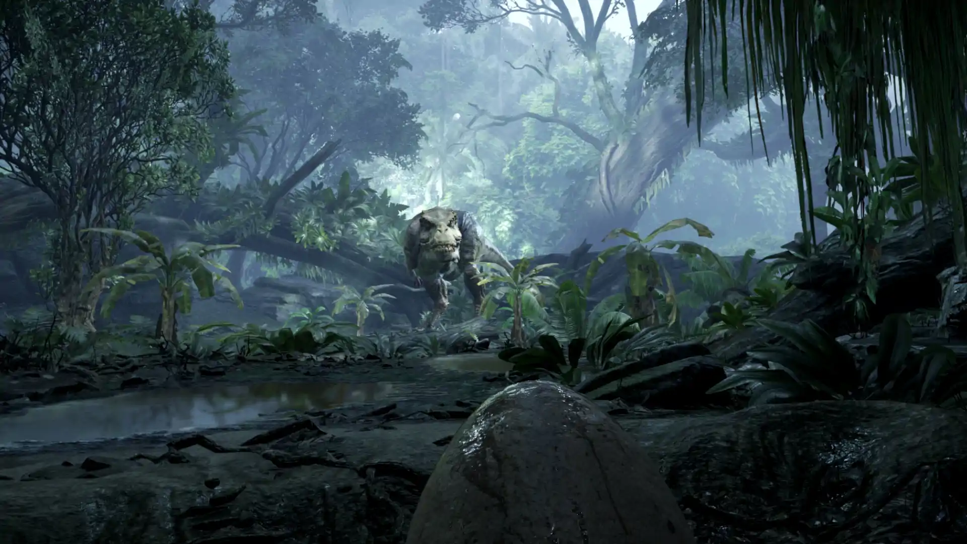 Back to Dinosaur Island PC performance and system requirements