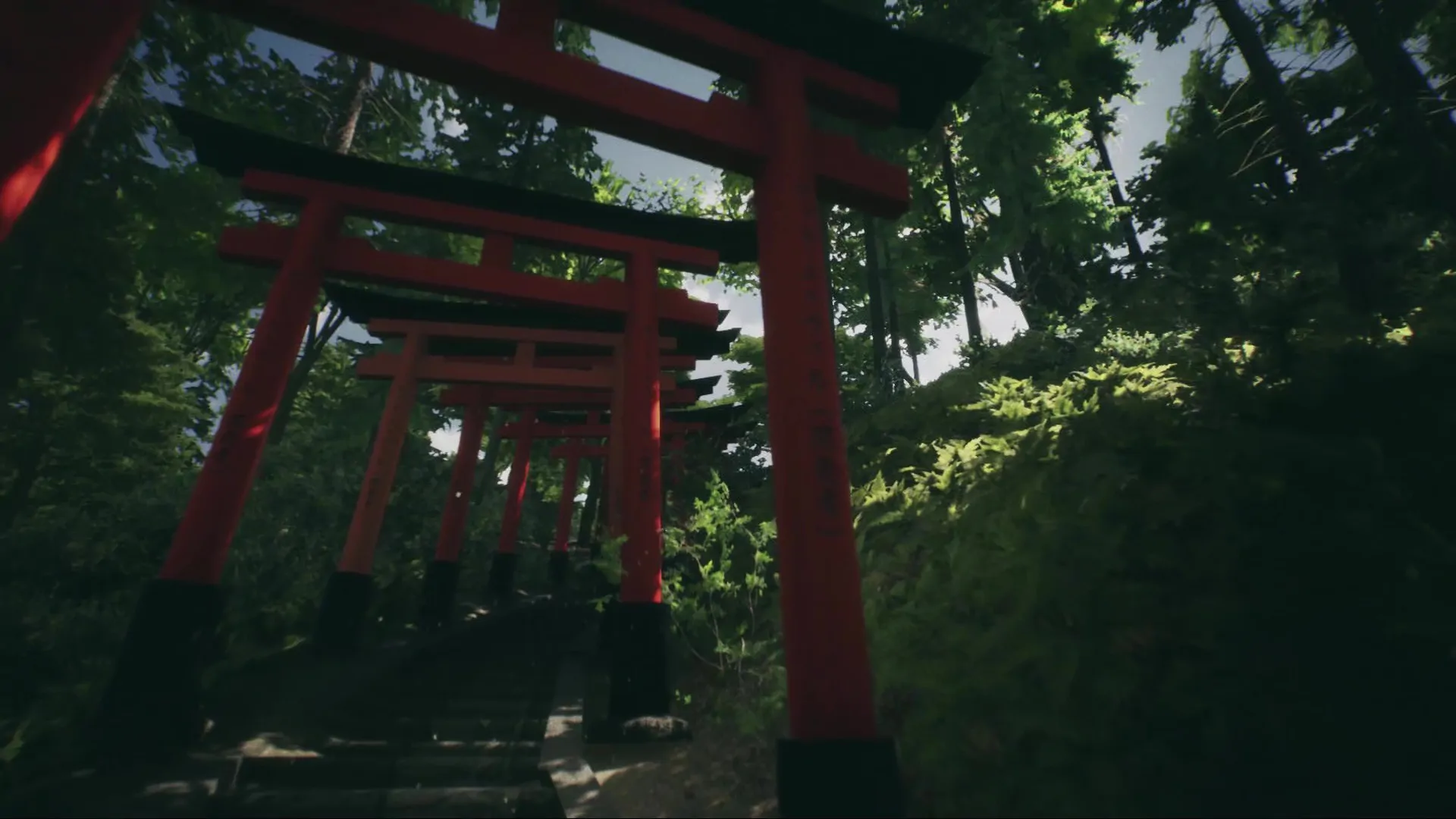 Explore Fushimi Inari cover