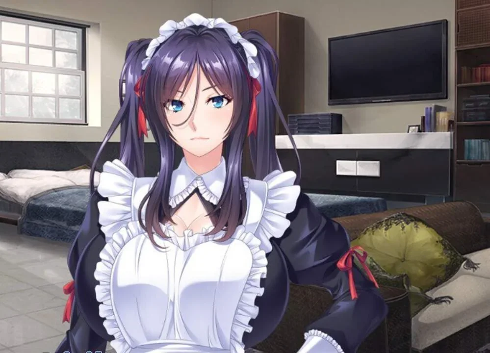 Maid for Pleasure PC performance and system requirements
