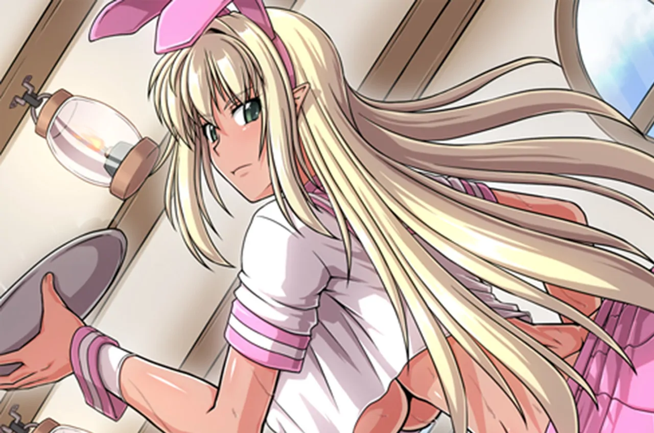 Namaiki Dark Elf Sisters PC performance and system requirements