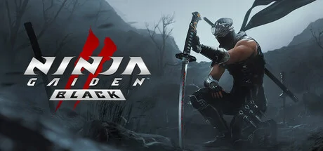 Ninja Gaiden 2 Black PC performance and system requirements