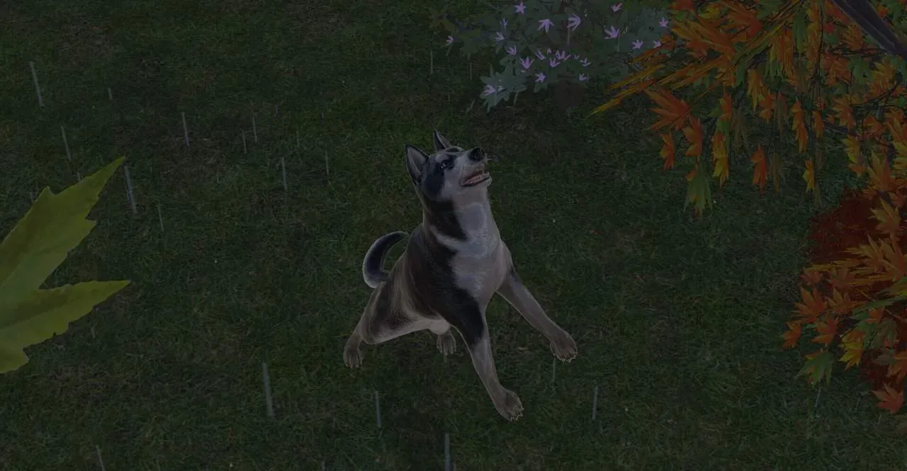 Pets Hotel: Prologue PC system requirements screenshot