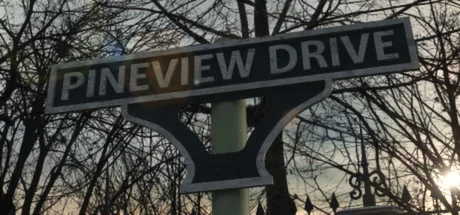 Pineview Drive PC performance and system requirements