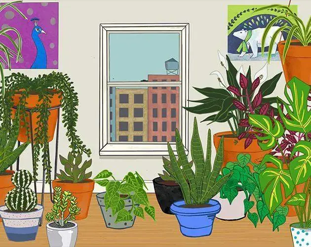 Plant Therapy PC system requirements screenshot
