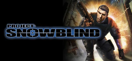 Project: Snowblind cover