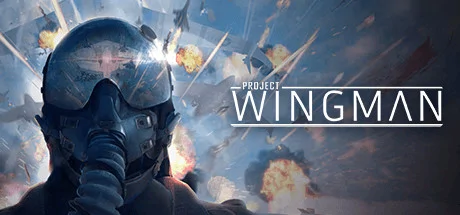 Project Wingman PC performance and system requirements