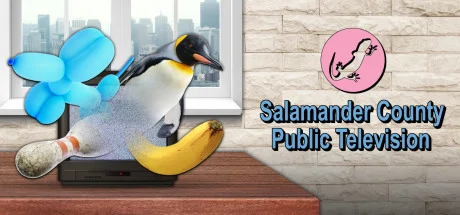 Salamander County Public Television PC system requirements screenshot