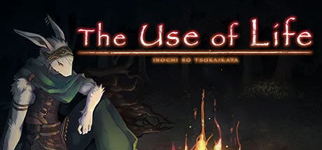 The Use of Life PC performance and system requirements