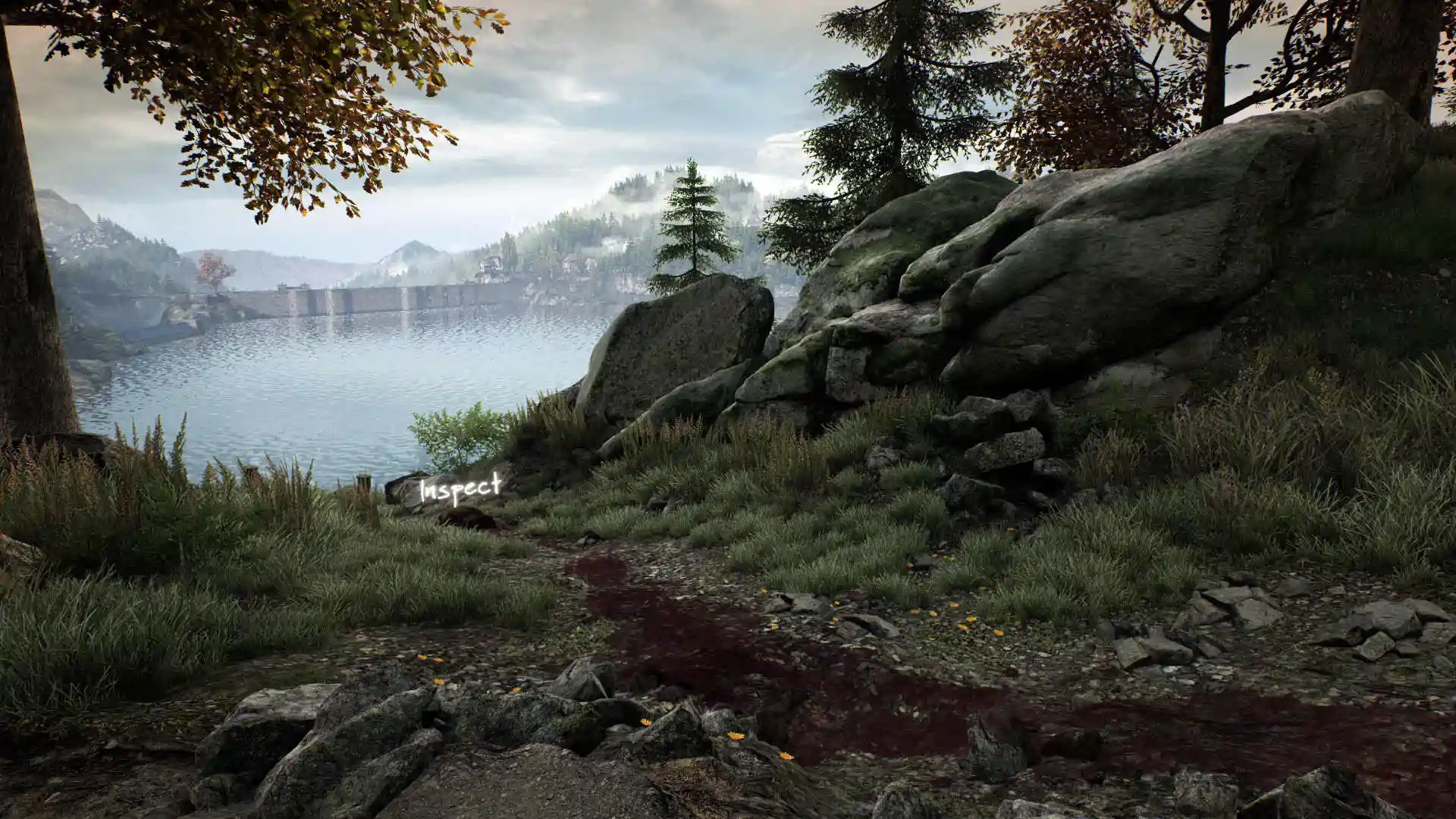 The Vanishing of Ethan Carter Redux cover