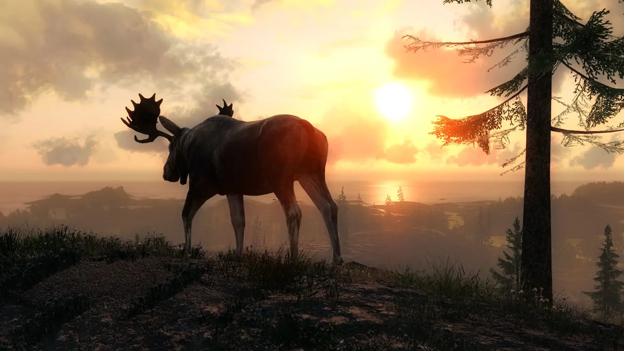 theHunter PC system requirements screenshot