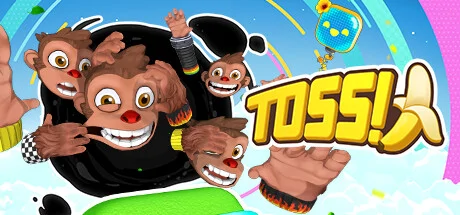 TOSS!?? PC performance and system requirements