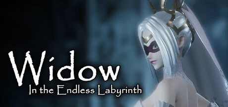 Widow in the Endless Labyrinth PC performance and system requirements