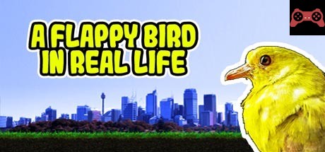 A Flappy Bird in Real Life System Requirements
