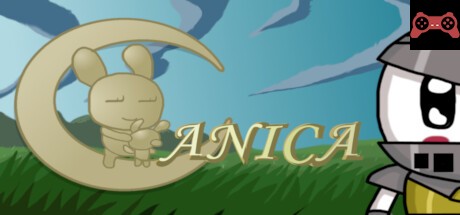 Anica System Requirements