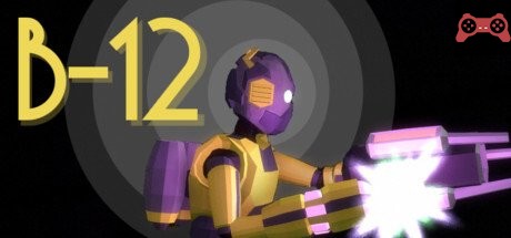 B-12 System Requirements