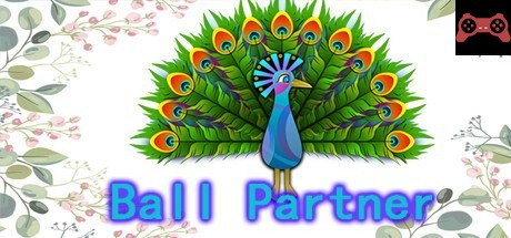 Ball Partner System Requirements