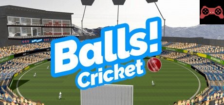 Balls! Virtual Reality Cricket System Requirements