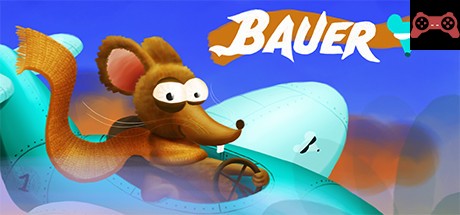 Bauer System Requirements