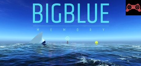 Big Blue - Memory System Requirements