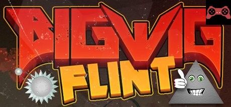 Bigwig Flint System Requirements