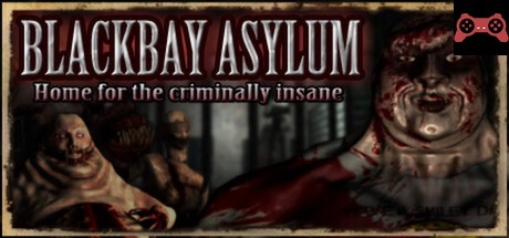 Blackbay Asylum System Requirements