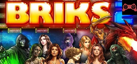 BRIKS 2 System Requirements