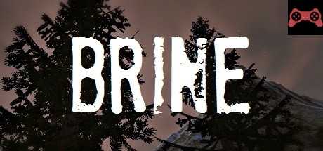 Brine System Requirements