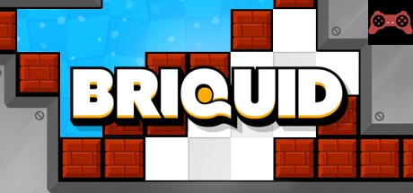 Briquid System Requirements