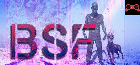 BSF System Requirements