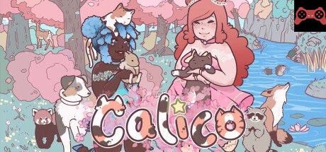 Calico System Requirements