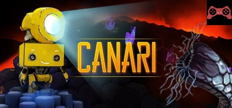 CANARI System Requirements