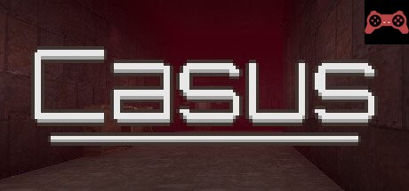 Casus System Requirements