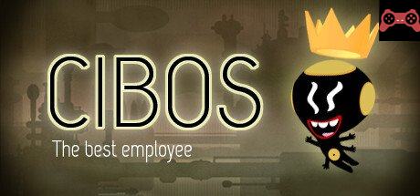 CIBOS System Requirements