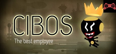 CIBOS System Requirements
