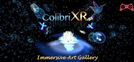 Colibri XR Immersive Art Gallery System Requirements