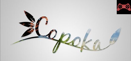 Copoka System Requirements