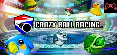 Crazy Ball Racingâ„¢ System Requirements