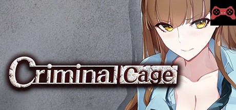 Criminal Cage System Requirements