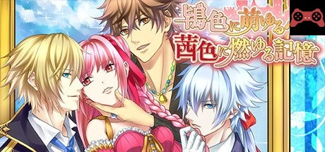 Crimson Memories System Requirements