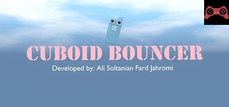 Cuboid Bouncer System Requirements