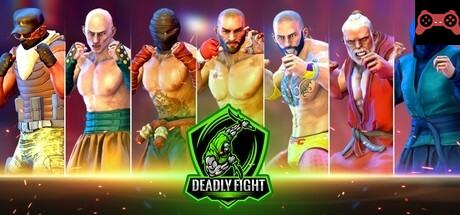 Deadly Fight System Requirements