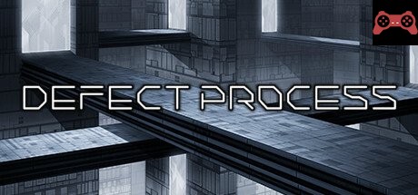 Defect Process System Requirements