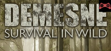 Demesne System Requirements