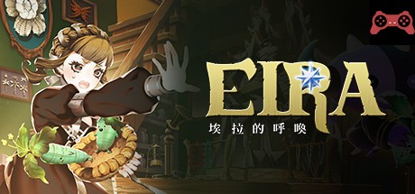 Eira System Requirements
