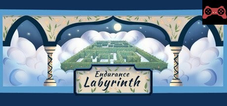 Endurance Labyrinth System Requirements
