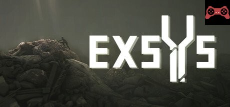 Exsys System Requirements