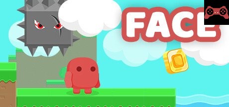 FACE System Requirements