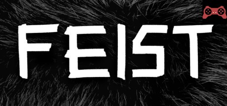 FEIST System Requirements