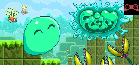 Flem System Requirements