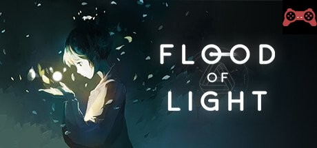 Flood of Light System Requirements